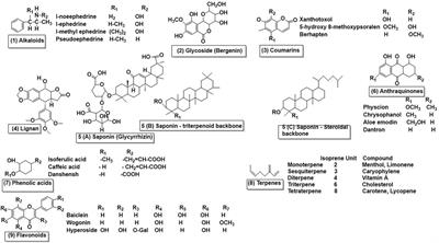 Advances and strategies for capillary electrophoresis in the characterization of traditional Chinese medicine: A review of the past decade (2011–2021)